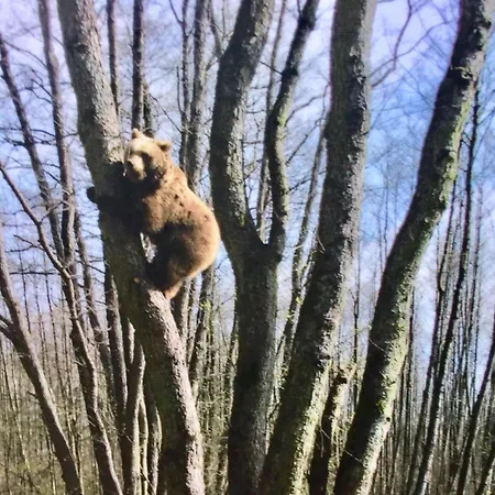 Venedig Und Amsterdam